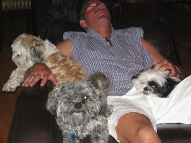 allen and dogs